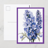 LAVENDELBLÜTEN #1 POSTKARTE (Vorne/Hinten)