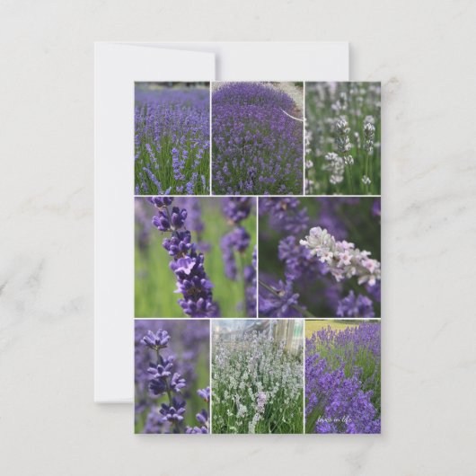 LavendelCollage 2 Mitteilungskarte (Vorderseite)