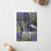 LavendelCollage 2 Mitteilungskarte (Vorderseite/Rückseite Beispiel)