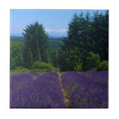 Lavendelfarm Fliese (Vorderseite)