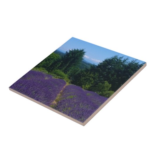 Lavendelfarm Fliese (Seite)