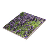 Lavendelfarm Fliese (Seite)