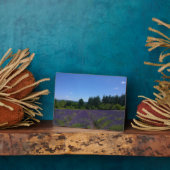 Lavendelfarm Fotoplatte (Seite)