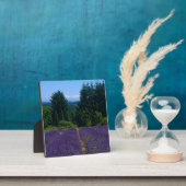 Lavendelfarm Fotoplatte (InSitu)
