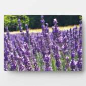 Lavendelfarm Fotoplatte (Vorderseite)