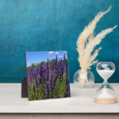 Lavendelfarm Fotoplatte (InSitu)