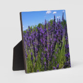 Lavendelfarm Fotoplatte (Vorderseite)