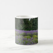 Lavendelfarm Kaffeetasse (Mittel)