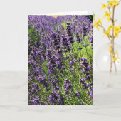 Lavendelfarm Karte (Gelbe Blume)
