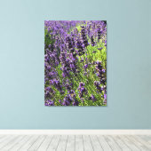 Lavendelfarm Leinwanddruck (Insitu (Holzboden))