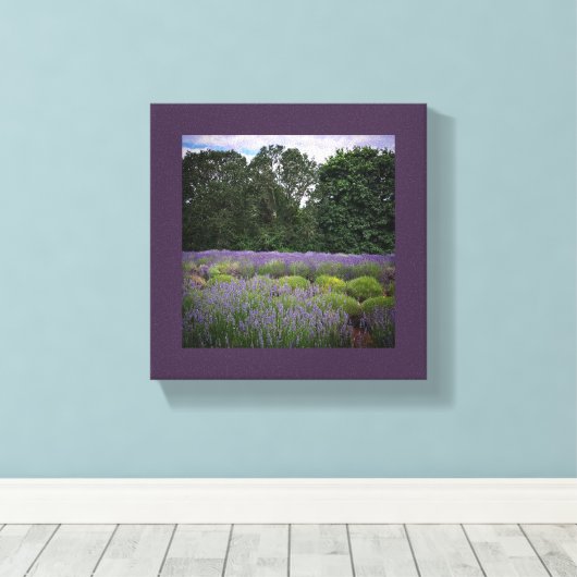 Lavendelfarm Leinwanddruck (Insitu (Holzboden))