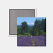 Lavendelfarm Magnet (Vorderseite/Rückseite)