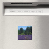 Lavendelfarm Magnet (In Situ (Geschirrspüler))