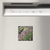 Lavendelfarm Magnet (In Situ (Geschirrspüler))