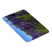 Lavendelfarm Magnet (Rechte Seite)