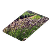 Lavendelfarm Magnet (Linke Seite)