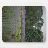 Lavendelfarm Mousepad (Vorne)