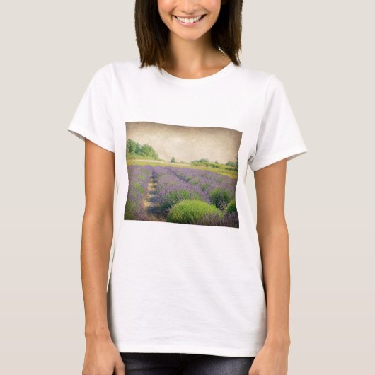 Lavendelfarm - Not T-Shirt (Vorderseite)