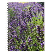 Lavendelfarm Notizblock (Vorderseite)