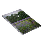 Lavendelfarm Notizblock (Rechte Seite)