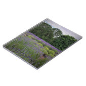 Lavendelfarm Notizblock (Linke Seite)