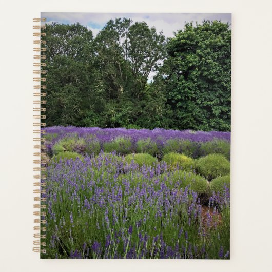 Lavendelfarm Planer (Vorderseite)