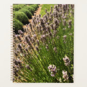 Lavendelfarm Planer (Vorderseite)
