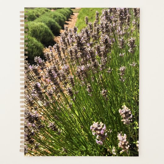 Lavendelfarm Planer (Vorderseite)