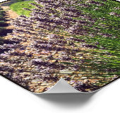 Lavendelfarm Poster (Ecke)