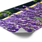 Lavendelfarm Poster (Ecke)
