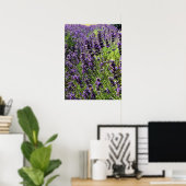 Lavendelfarm Poster (Heimbüro)