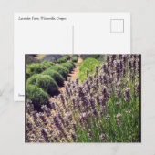 Lavendelfarm Postkarte (Vorne/Hinten)