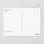 Lavendelfarm Postkarte (Rückseite)