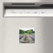 Lavendelfarm - Provence Magnet (In Situ (Geschirrspüler))
