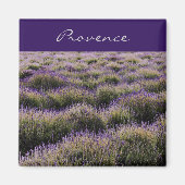 Lavendelfarm - Provence Magnet (Vorne)