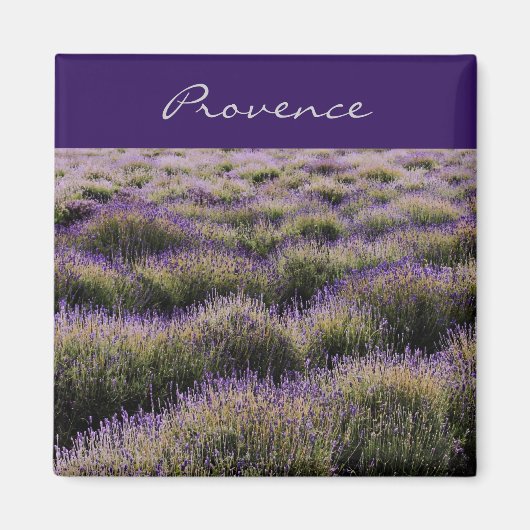Lavendelfarm - Provence Magnet (Vorne)