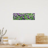 Lavendelfeld 26"w x 8"h Poster (Küche)