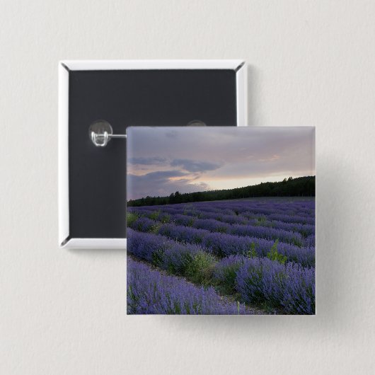 Lavendelfeld am Sonnenuntergang Button (Vorne & Hinten)