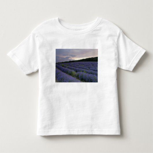 Lavendelfeld am Sonnenuntergang Kleinkind T-shirt (Vorderseite)
