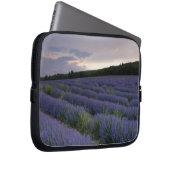 Lavendelfeld am Sonnenuntergang Laptopschutzhülle (Vorne Rechts)