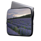 Lavendelfeld am Sonnenuntergang Laptopschutzhülle (Vorderseite Links)