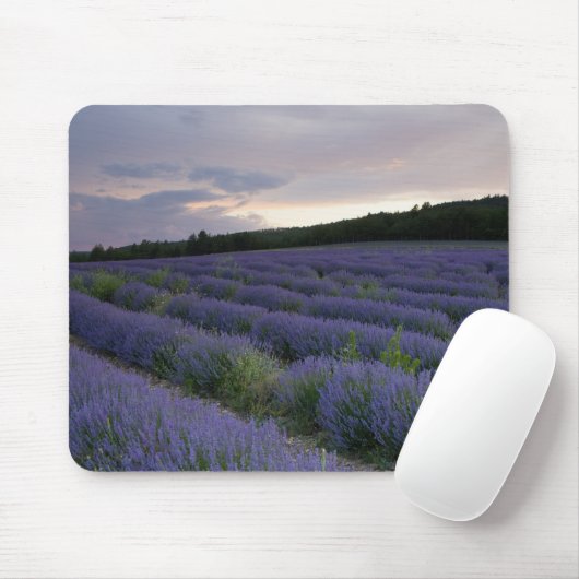 Lavendelfeld am Sonnenuntergang Mousepad (Mit Mouse)