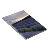 Lavendelfeld am Sonnenuntergang Notizblock (Rechte Seite)