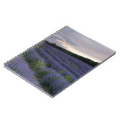 Lavendelfeld am Sonnenuntergang Notizblock (Linke Seite)