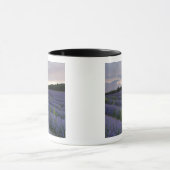 Lavendelfeld am Sonnenuntergang Tasse (Zentrum)