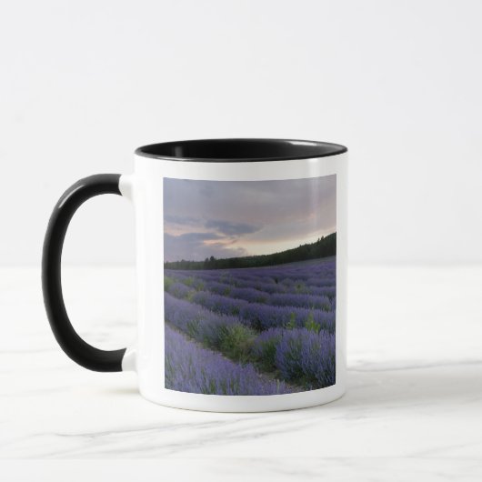 Lavendelfeld am Sonnenuntergang Tasse (Links)
