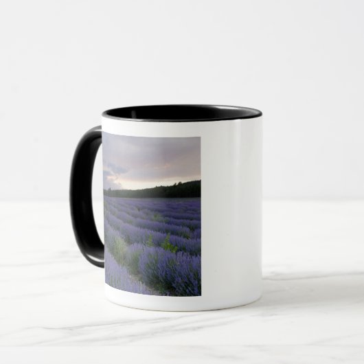 Lavendelfeld am Sonnenuntergang Tasse (Vorderseite Links)