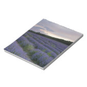 Lavendelfeld bei Sonnenuntergang Notizblock (Rotiert)