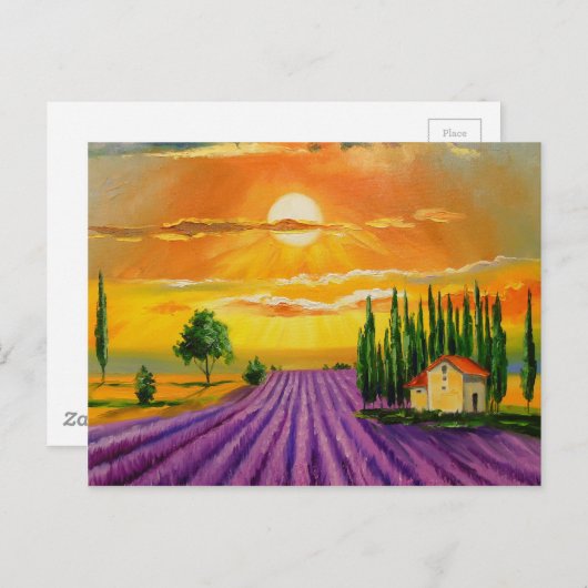 Lavendelfeld bei Sonnenuntergang Postkarte (Vorne/Hinten)