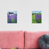 Lavendelfeld Bilderwand Sets (Wohnzimmer)